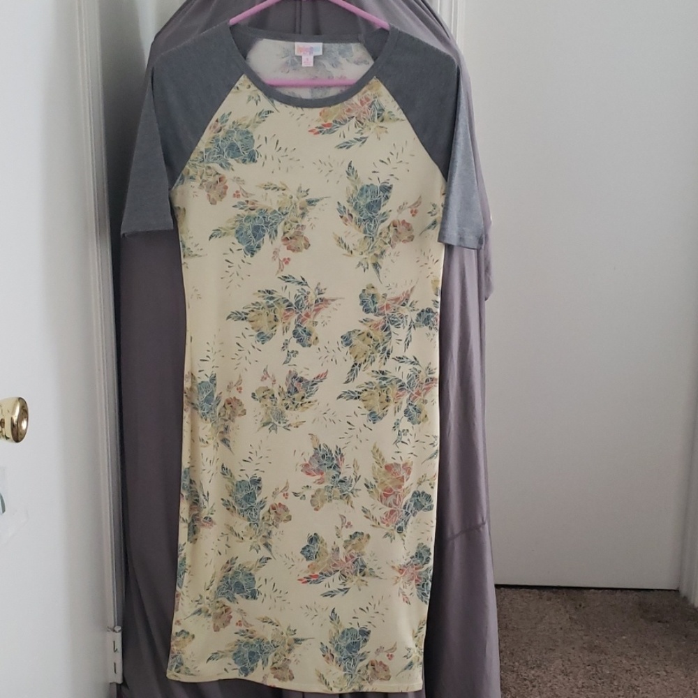 Lularoe two toned Julia dress size small